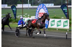 Harness Racing action
