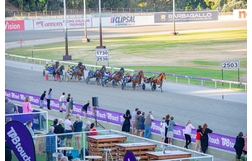 Harness Racing action