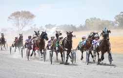 Harness Racing action