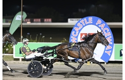 Harness Racing action