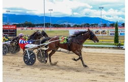 Harness Racing action