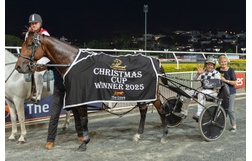 Harness Racing action