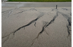 Harness Racing action