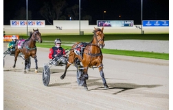 Harness Racing action