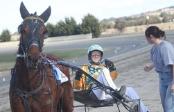 Harness Racing action
