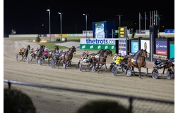 Harness Racing action