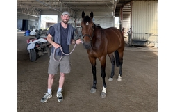 Harness Racing action
