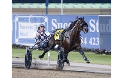 Harness Racing action
