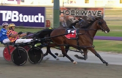 Harness Racing action