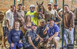 Harness Racing action