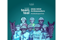 Harness Racing action