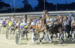 Harness Racing action