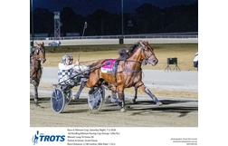 Harness Racing action