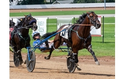 Harness Racing action
