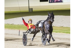 Harness Racing action