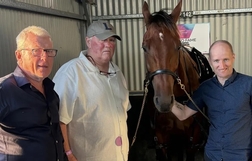 Harness Racing action