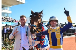 Harness Racing action