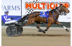 Harness Racing action