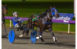 Harness Racing action