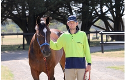 Harness Racing action