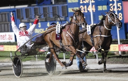 Harness Racing action