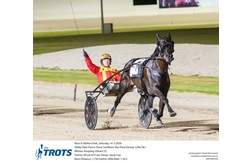 Harness Racing action