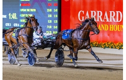 Harness Racing action
