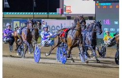 Harness Racing action