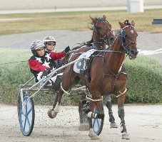 Four Needed wins on Victoria Cup night for Kate and Andy Gath. Their good form continued today at Maryborough. 