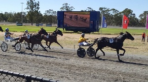 Jadahson pictured winning the 2016 Charlton Pacing Cup. 