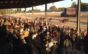 The crowd watches the trots at Wangaratta on Cup day.