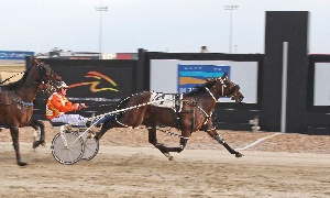 Stunning Grin looms as one of the horses to beat in Saturday night's Park Douglas Printing Mildura Pacing Cup Final. 