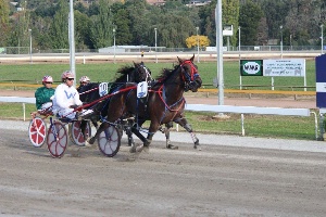 Greg Sugars drives Illawong Libby to victory at Warragul for trainer Terry Howard.