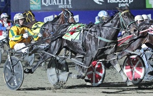 Mark Pitt drives Gumdrops to victory in the Make Mine Cullen.