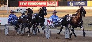 Derby Target; Brallos Pass is being aimed at the Qld Derby at Albion Park on July 16.