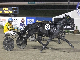 Gavin Lang drives Emma Stewart's Ideal For Real to victory ahead of Menin Gate.