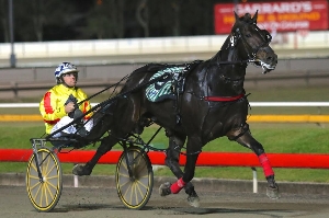 Out; Classy pacer Mach Alert has been ruled out of the Brisbane winter carnival features.