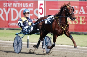 Victorian visitors Zac Phillips and Red Hot Tooth cruise to the post impressive winners of the Three-Year-Old Trotters Final at Tabcorp Park Menangle today