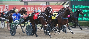 CLOSE FINISH: Rockmemama gets up in the last stride to score at Menangle today.