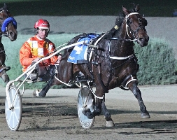 Michael Bellman, pictured driving Stunning Grin for Vince Vallelonga. Bellman produced a peach of a drive aboard Major Crocker at Mildura last night to break the track record. 