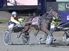 Sparkling Success and Gavin Lang take out the Empire Stallions Vicbred Super Series 4YO Trotters E&Gs Final. 