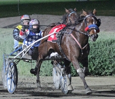 Endsino and Kate Gath take out the Vicbred Final. 