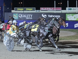 Bruce Edward bred Ideal For Real wins Vicbred.