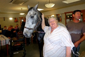 Grey mare Hollys Miss Molly visits a local nursing home in Kilmore, giving the residents a huge thrill. 