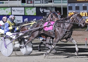 Iamajullian wins for Kerryn Manning and Paul Campbell at Melton.
