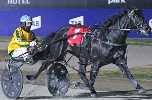 Ideal For Real is headed to the top. Gavin Lang steered him to victory tonight at the Melton trots. 