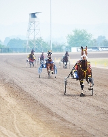 As of September 1 all claiming races across New South Wales will have the same prizemoney split at trot races.