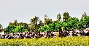 Action at Eugowra's Carnival of Cups in 2015.