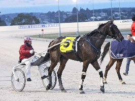 Chris Alford drove Kheiron to victory in the Breeders Crown silver pace.