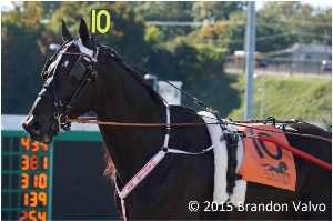 Oasis Bi returns to Yonkers to make his second attempt at the Yonkers International Trot this Saturday
